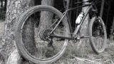 Riepilogo test pneumatici per mountain bike
